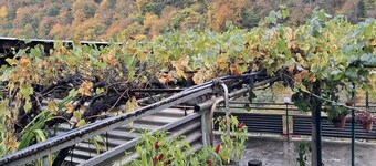 아샷아르메니의 하우스