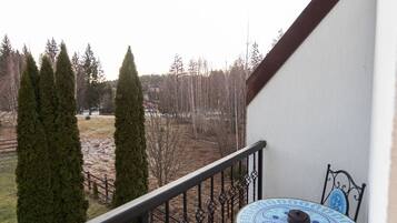 Executive Apartment | Terrace/patio