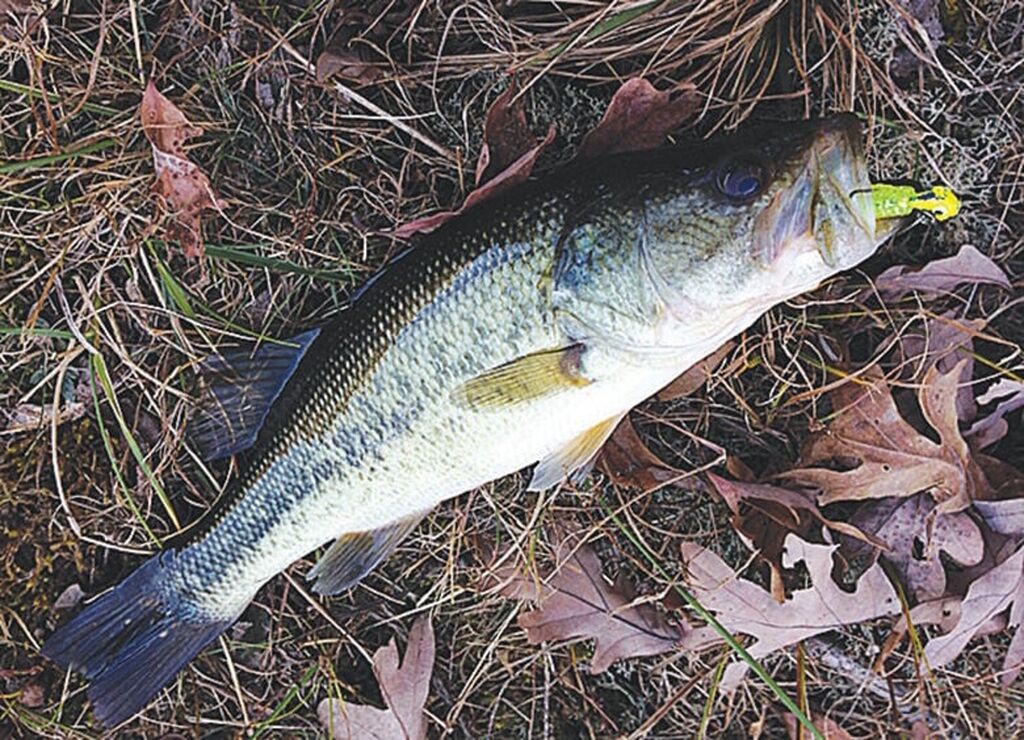A fish with a hook on it lying on the ground.