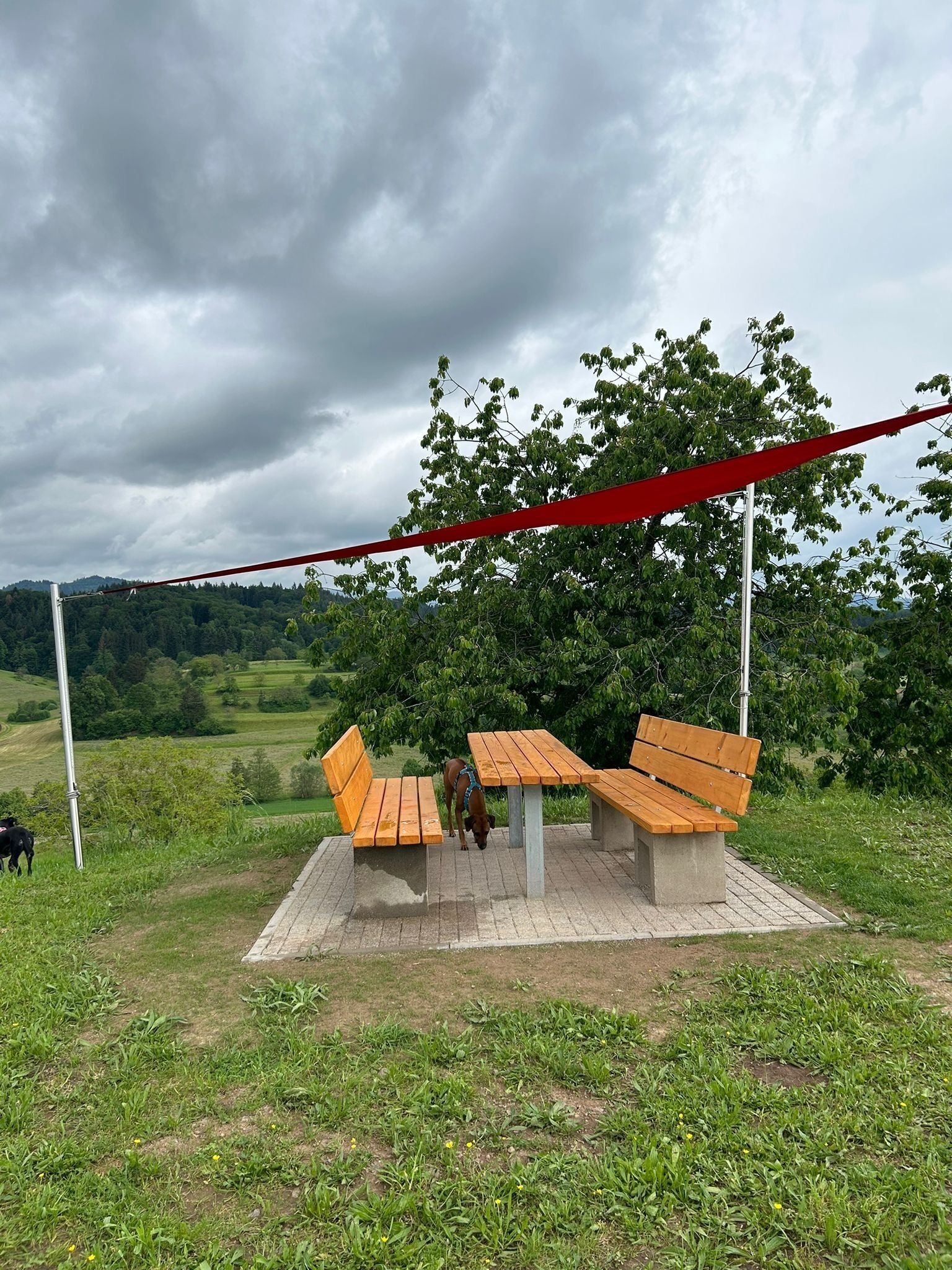 ein toller Picknickplatz, mit sagenhafter Aussicht. Du darfst gespannt sein!