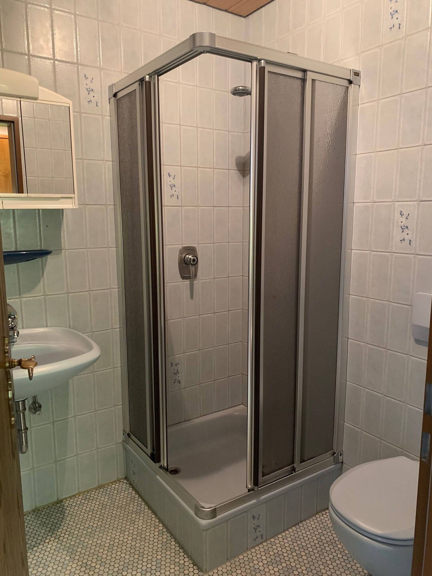 Douche, serviettes fournies, papier toilette