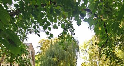 Authentique Moulin à eau du e Siècle