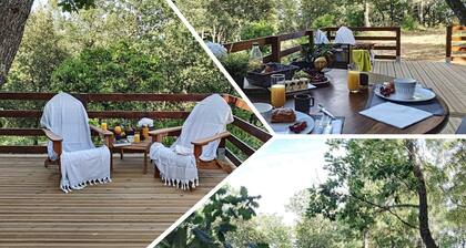 Chalets du Golfe de Saint Tropez,havre de Paix, 20mn des Plages,en Pleine Nature