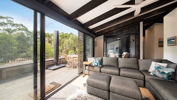 Smart-TV, Kamin