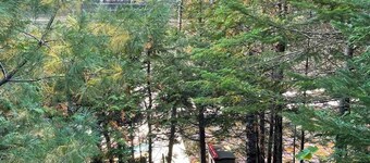 Chalet Déconnecté à 2 Minutes du Parc National de la Mauricie