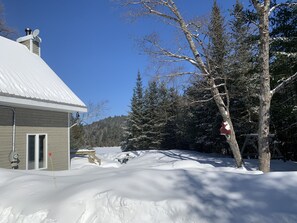 Property grounds - Chalet Déconnecté à 2 Minutes du Parc National de la Mauricie (Saint-Mathieu-du-Parc)