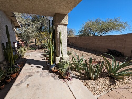 Welcome to the Desert Dwelling
A charming 3-bedroom house with a beautiful yard!