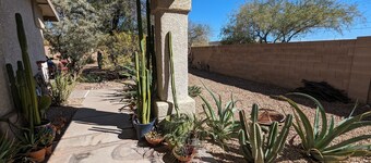 Welcome to the Desert Dwelling
A charming 3-bedroom house with a beautiful yard!