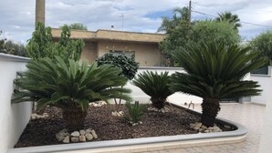 Un jardin aménagé avec des palmiers et un bâtiment blanc en arrière-plan.