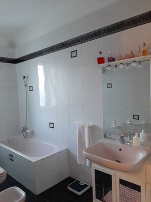Shower, hair dryer, bidet, towels