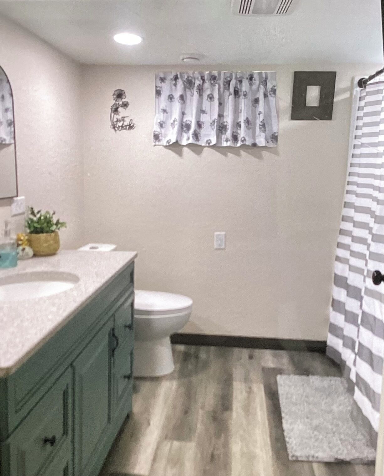 A bathroom with a toilet, a sink, a shower curtain, and a small plant on the counter.
