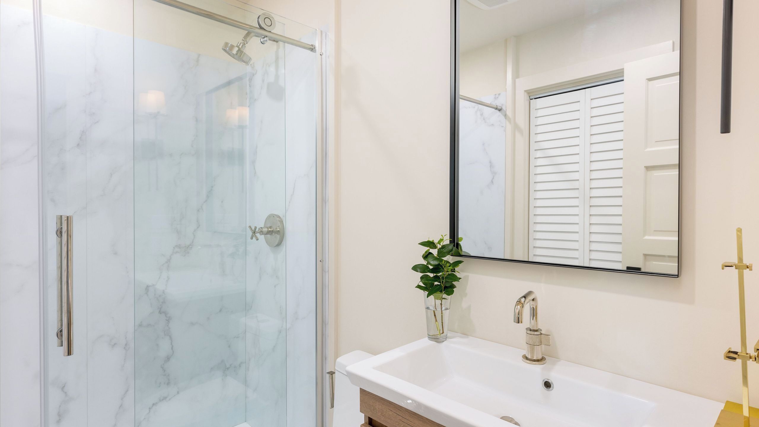 Une salle de bain avec une douche à parois de verre, un lavabo blanc, un miroir et une plante en pot.