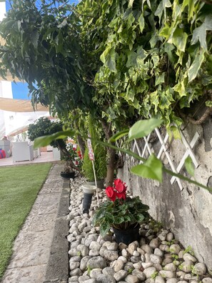 Property grounds - Capri Sky loft is a fabulous panoramic open space overlooking Capri and Vesuvius (Boscoreale)