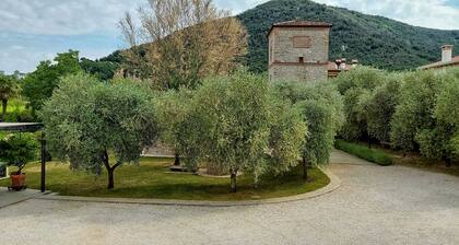 COLOMBARA DEL 900Relax with the whole family to this cozy accommodation