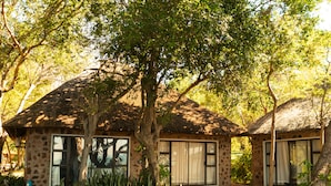 A rustic lodge with thatched-roof cabins, surrounded by lush greenery and trees.