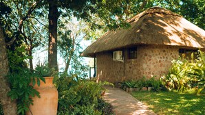 A thatched-roof hut with a stone wall, surrounded by lush greenery and a stone pathway.