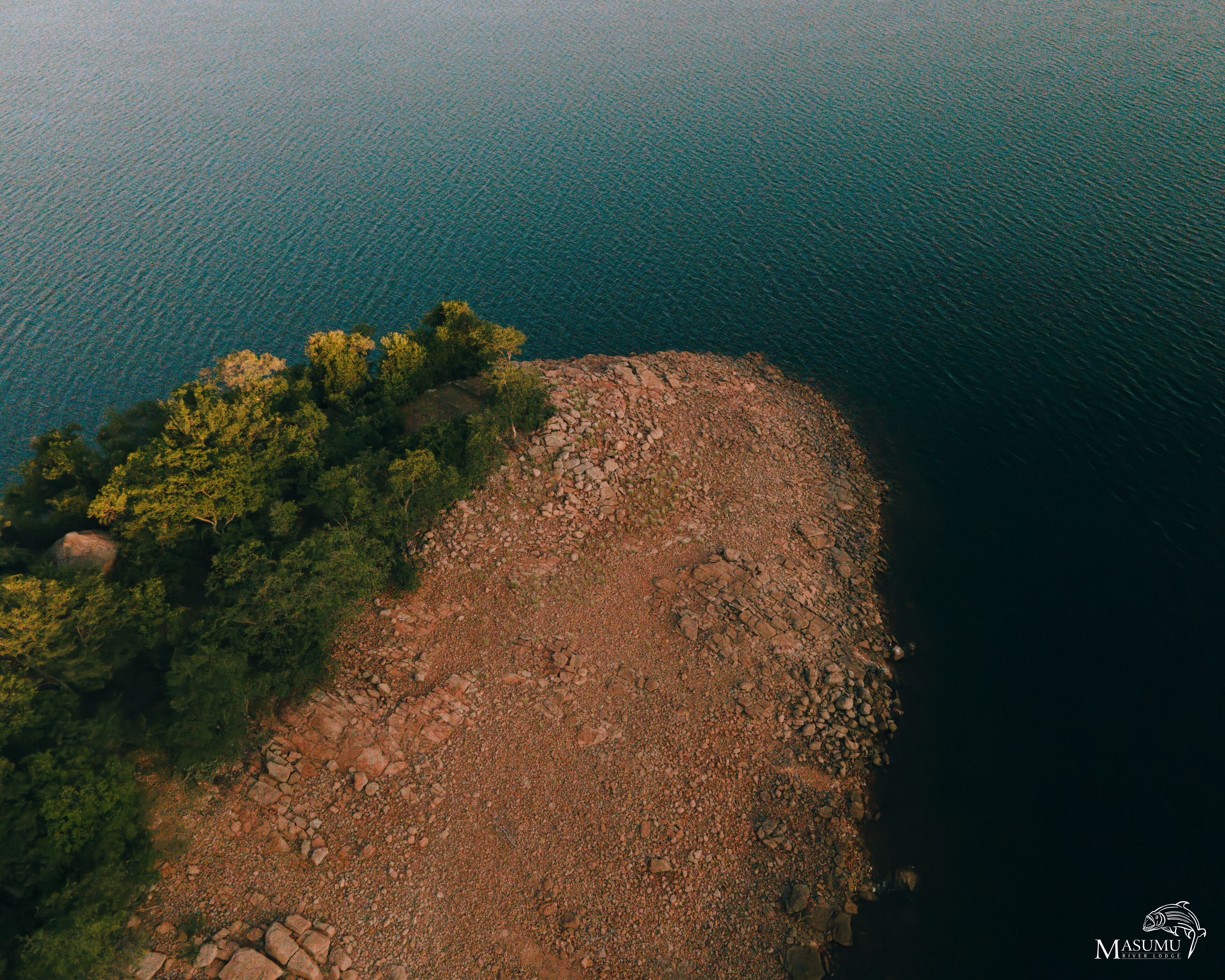 An aerial view of a rocky shoreline with dense greenery and a calm body of water.