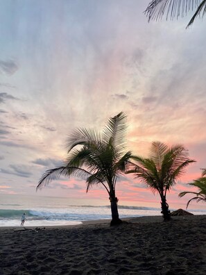 Ein Strand mit zwei Palmen und dem Meer im Hintergrund.