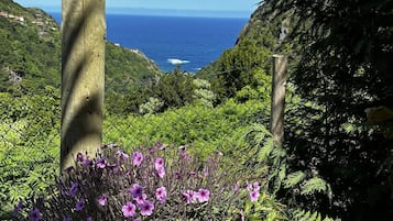 Detalle exterior