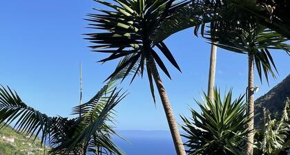 Maderedocevida chambre Bouddha.