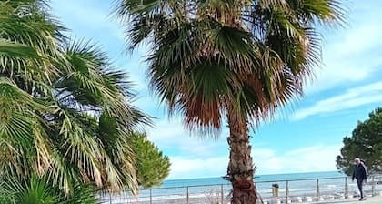Liguria Home