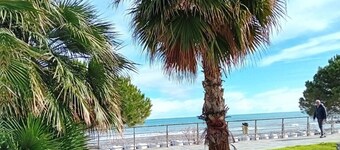 Liguria Home