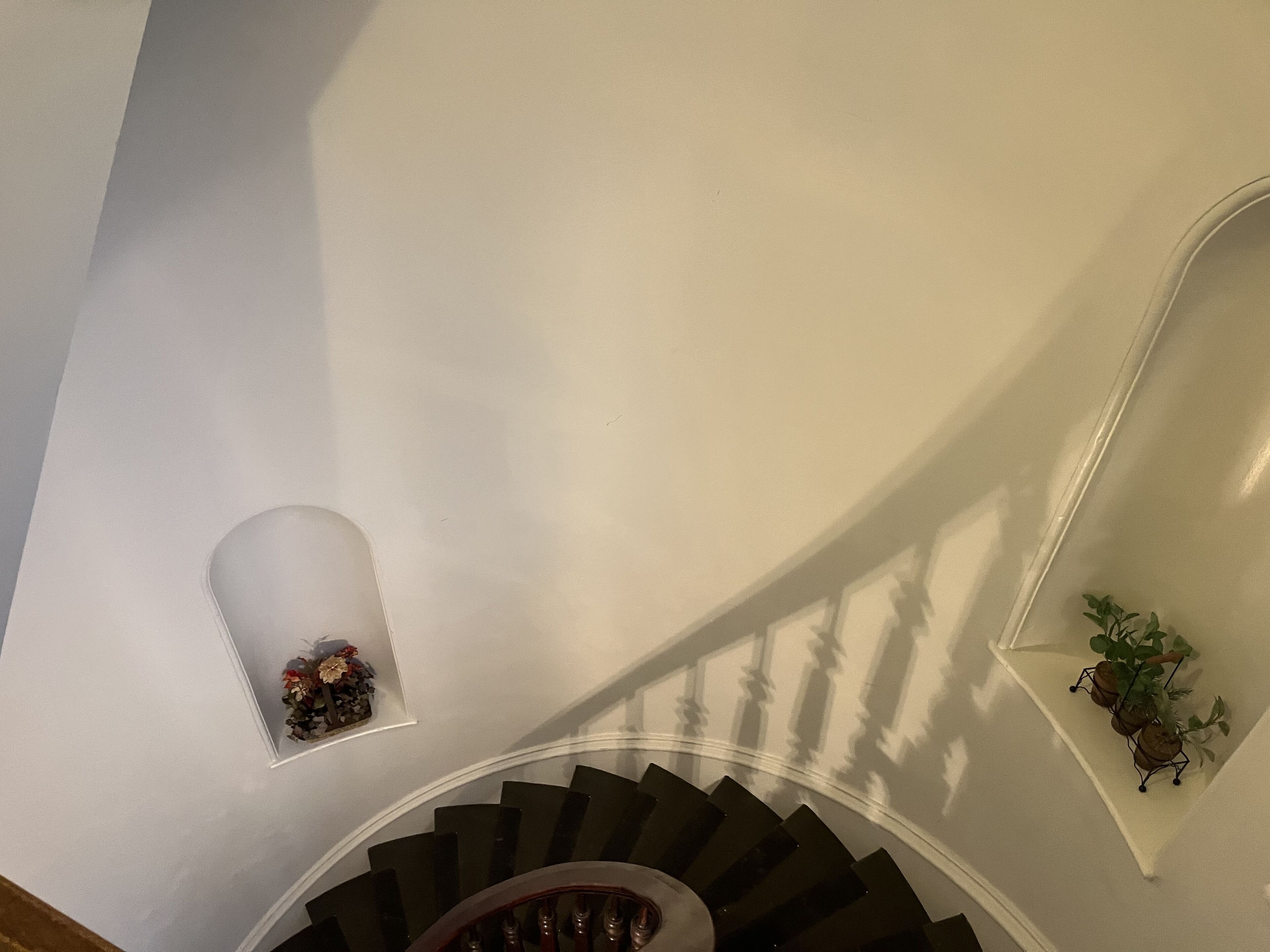 Un escalier en colimaçon, avec un mur blanc et une petite plante sur la plateforme.