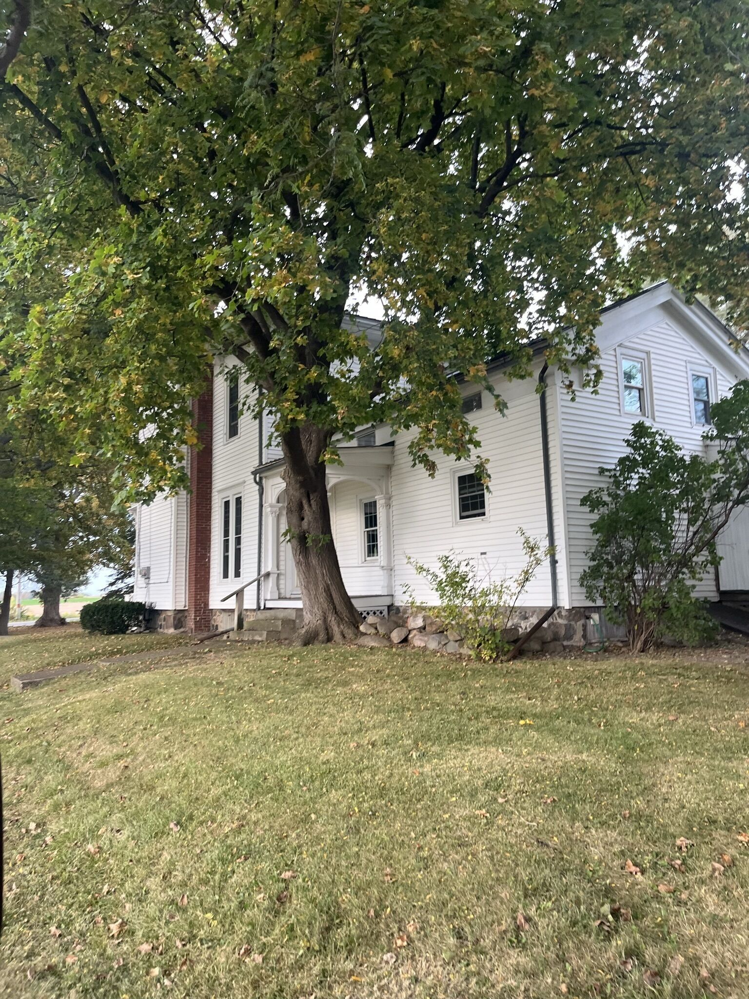 A two-story white house with a large tree in front, a stone wall, and a grassy yard.