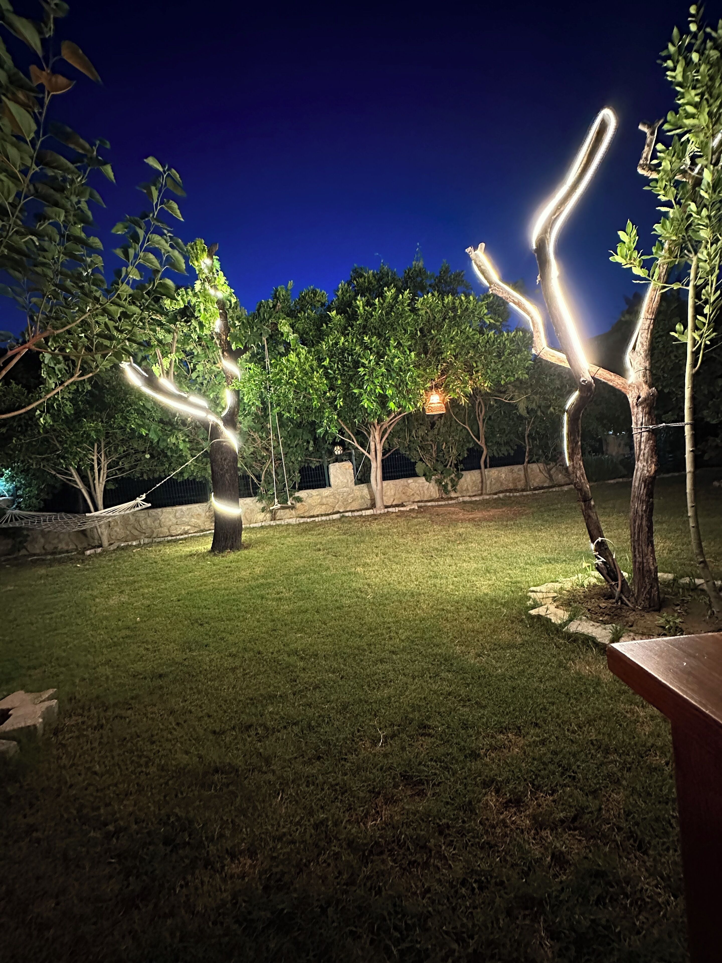 Un espace extérieur aménagé pour la nuit, avec des branches d’arbres illuminées, une pelouse et un mur en pierre.