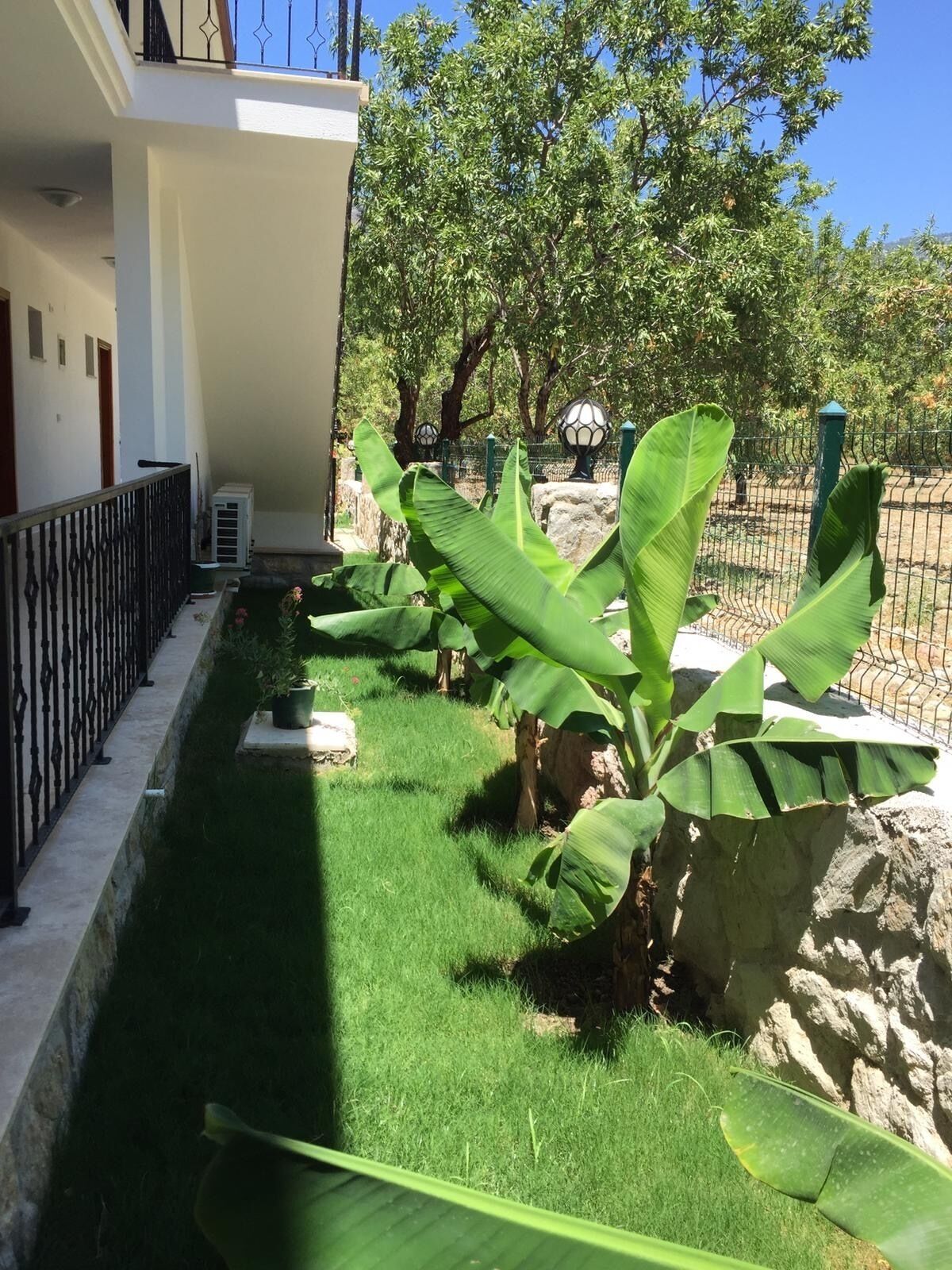 Blick auf den Garten