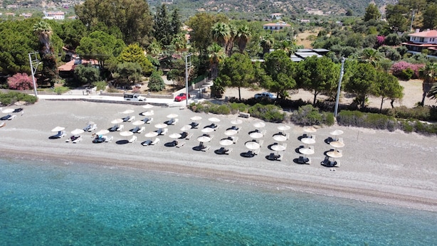Vista aérea de una playa con filas de tumbonas y sombrillas, agua turquesa cristalina y vegetación circundante.