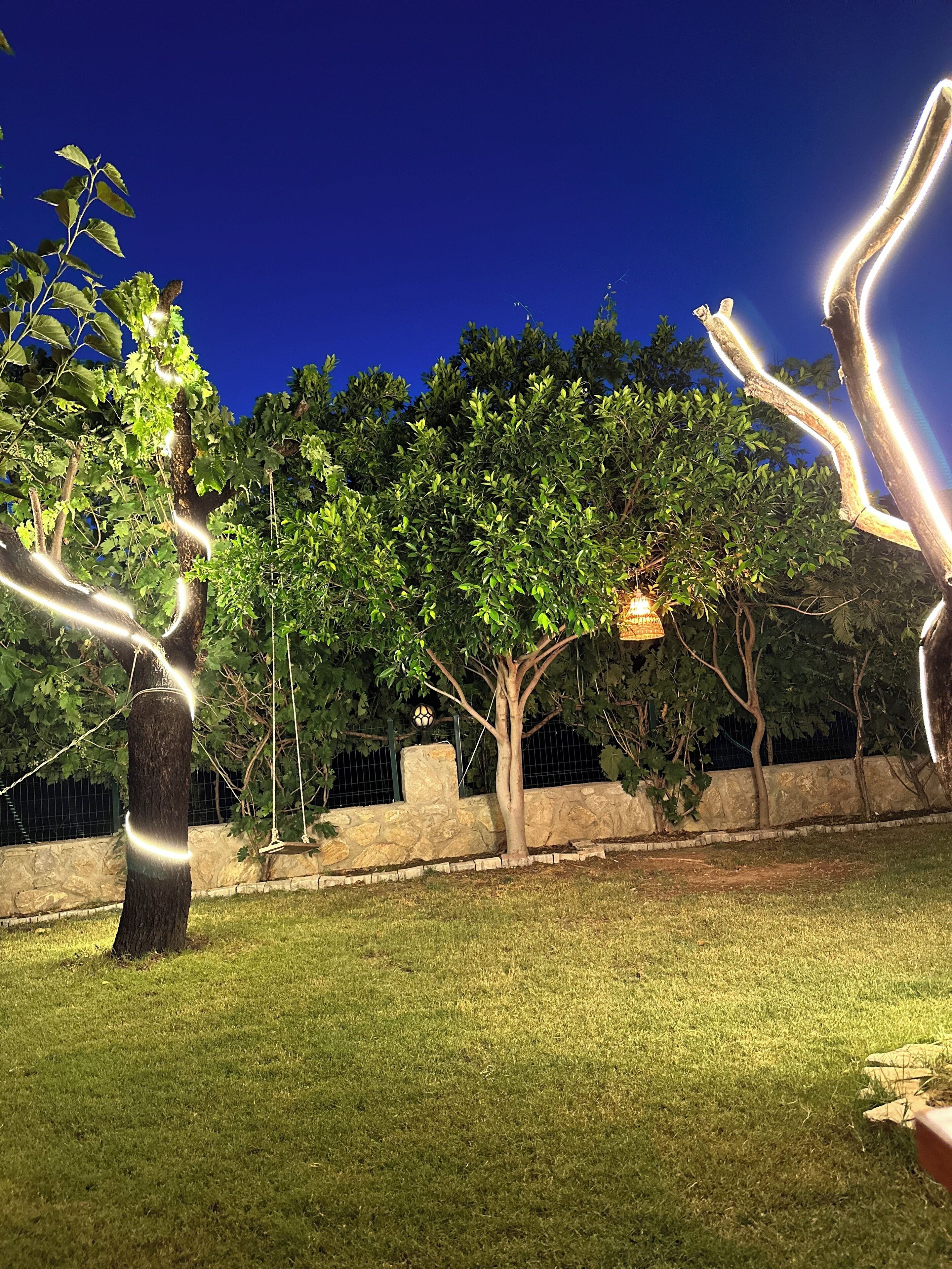A nighttime outdoor area with trees, a stone wall, and a lamp post.