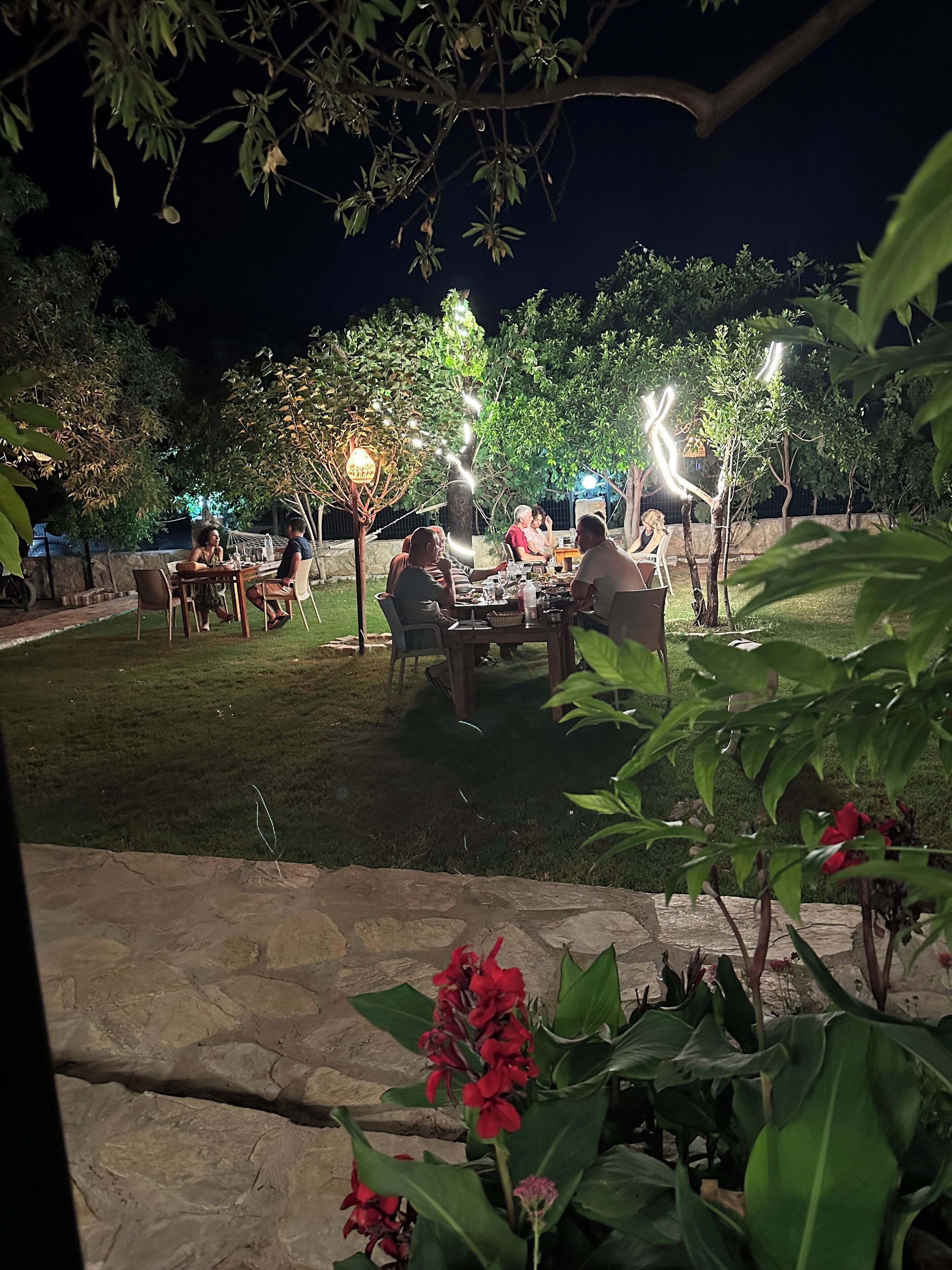 An outdoor dining area with tables and chairs, surrounded by trees and illuminated by string lights.