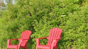 Deux chaises Adirondack rouges sont posées sur une surface sablonneuse, avec un feuillage vert et dense en arrière-plan.