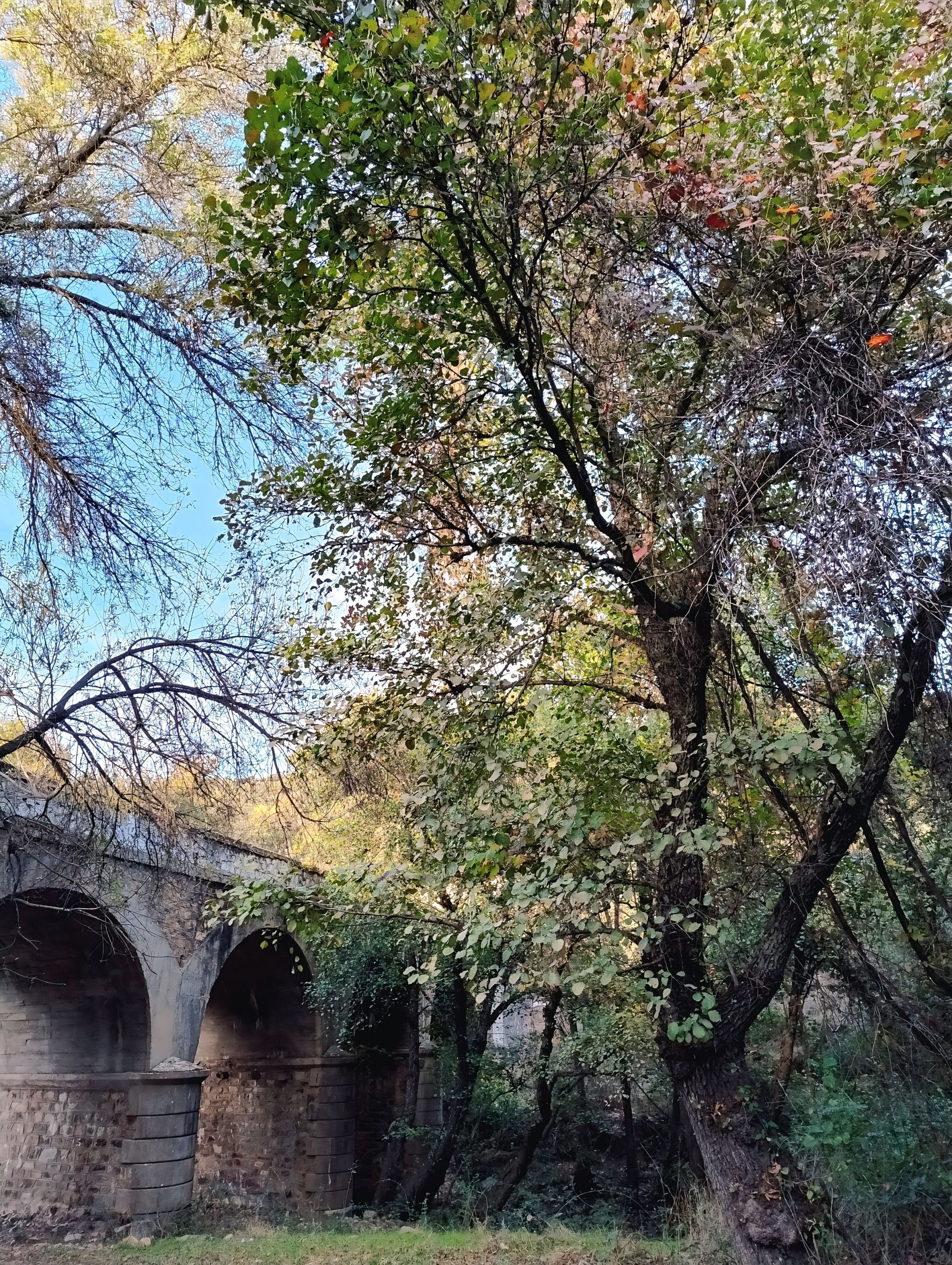 A stone bridge with arches, surrounded by trees and greenery.