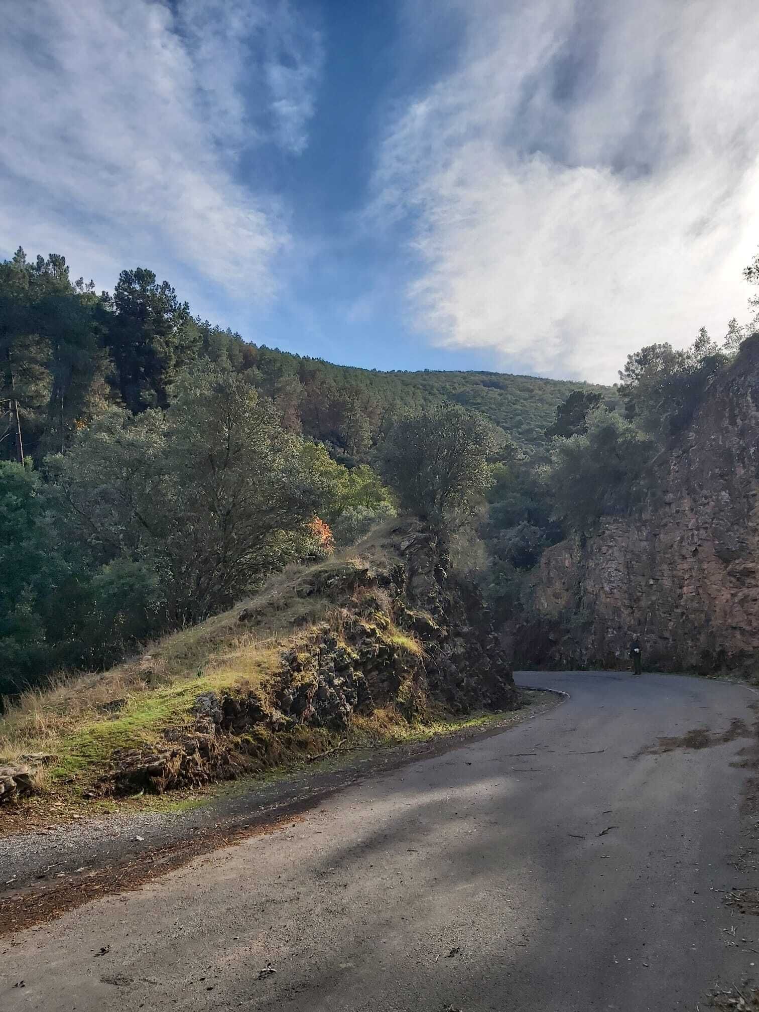 Uma estrada pavimentada serpenteia por uma paisagem montanhosa, com árvores densas e afloramentos rochosos.