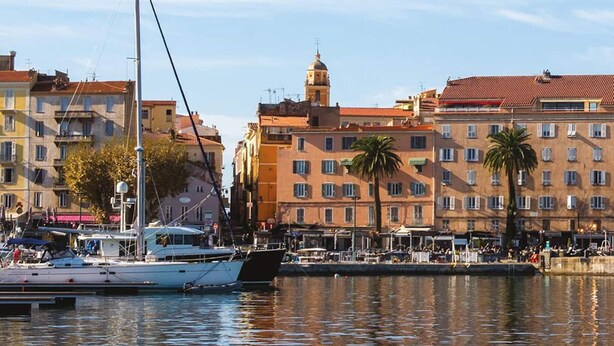 A waterfront scene with buildings, a docked boat, and a palm tree. - 3 bedroom cozy apartment in Ajaccio (Ajaccio)