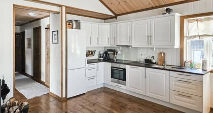 4 bedroom nice home in Rauland