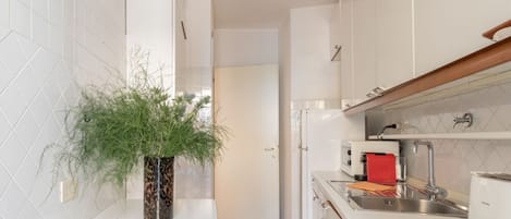 Fridge, oven, dishwasher, cookware/dishes/utensils