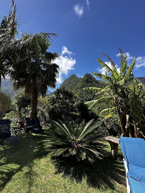 A lush garden with palm trees, a wooden bench, and a view of mountains under a clear sky.