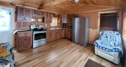 RealTree Camo Cabin 2