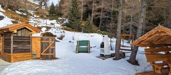 Ferienhuette in Lachtal