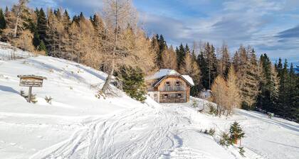 Ferienhuette in Lachtal