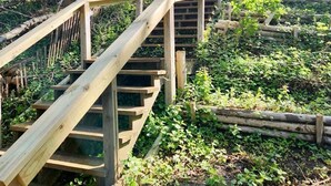 A wooden staircase leading up to a structure surrounded by greenery.