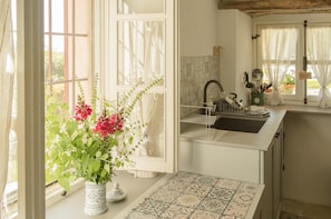 Una cocina con ventana, pileta y planta en maceta.