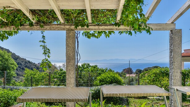 A covered outdoor seating area with tables and chairs, surrounded by lush greenery and a view of distant mountains.