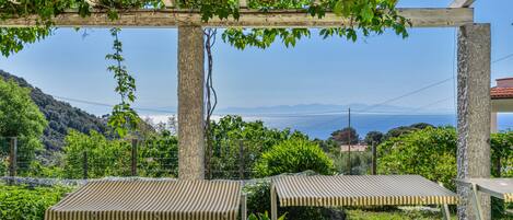 Terrain de lâhĂ©bergement