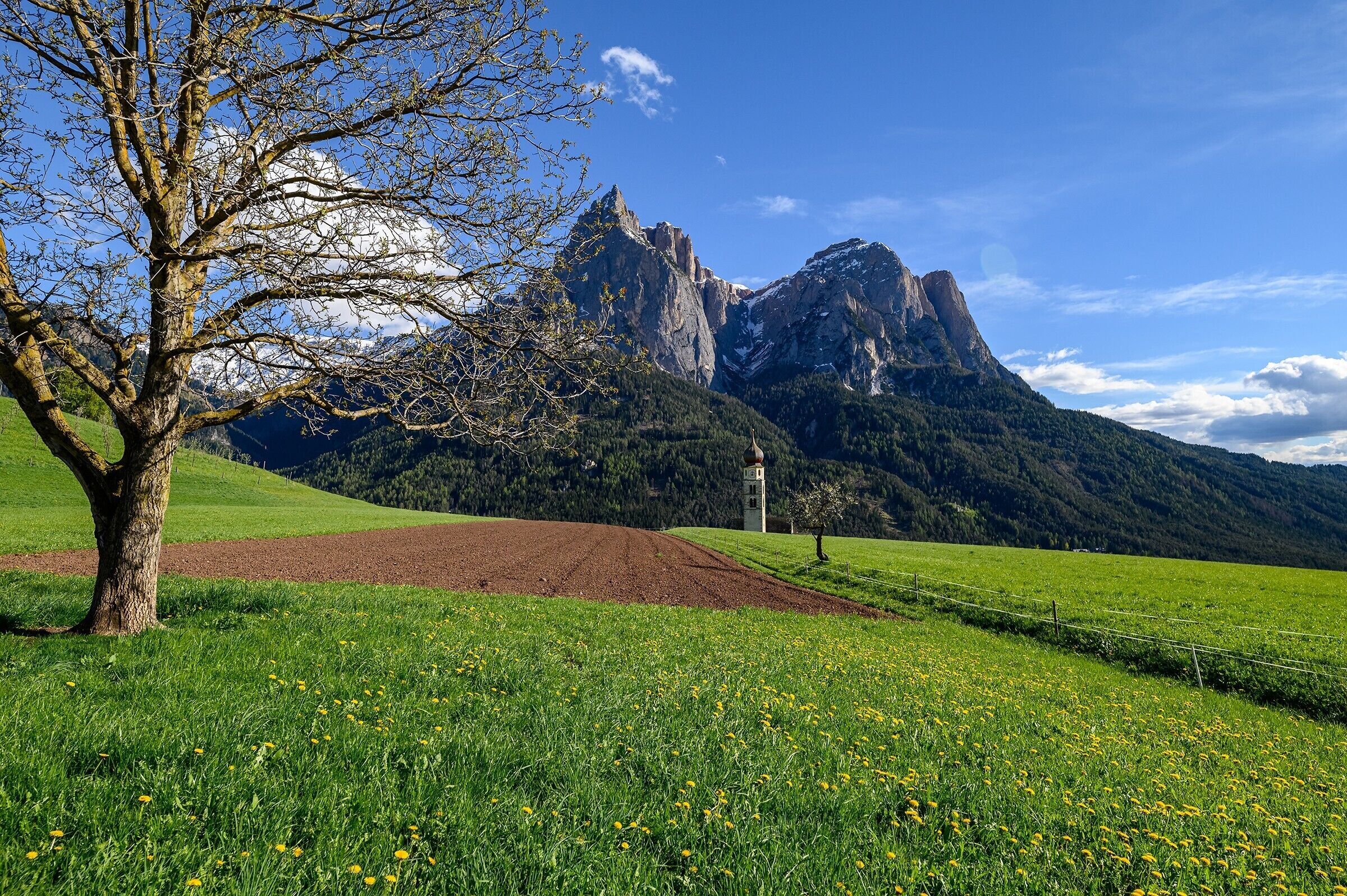 A mountainous landscape with a prominent rocky peak, a tree, and a fenced field.