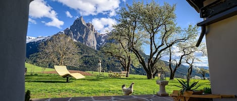 施設の敷地