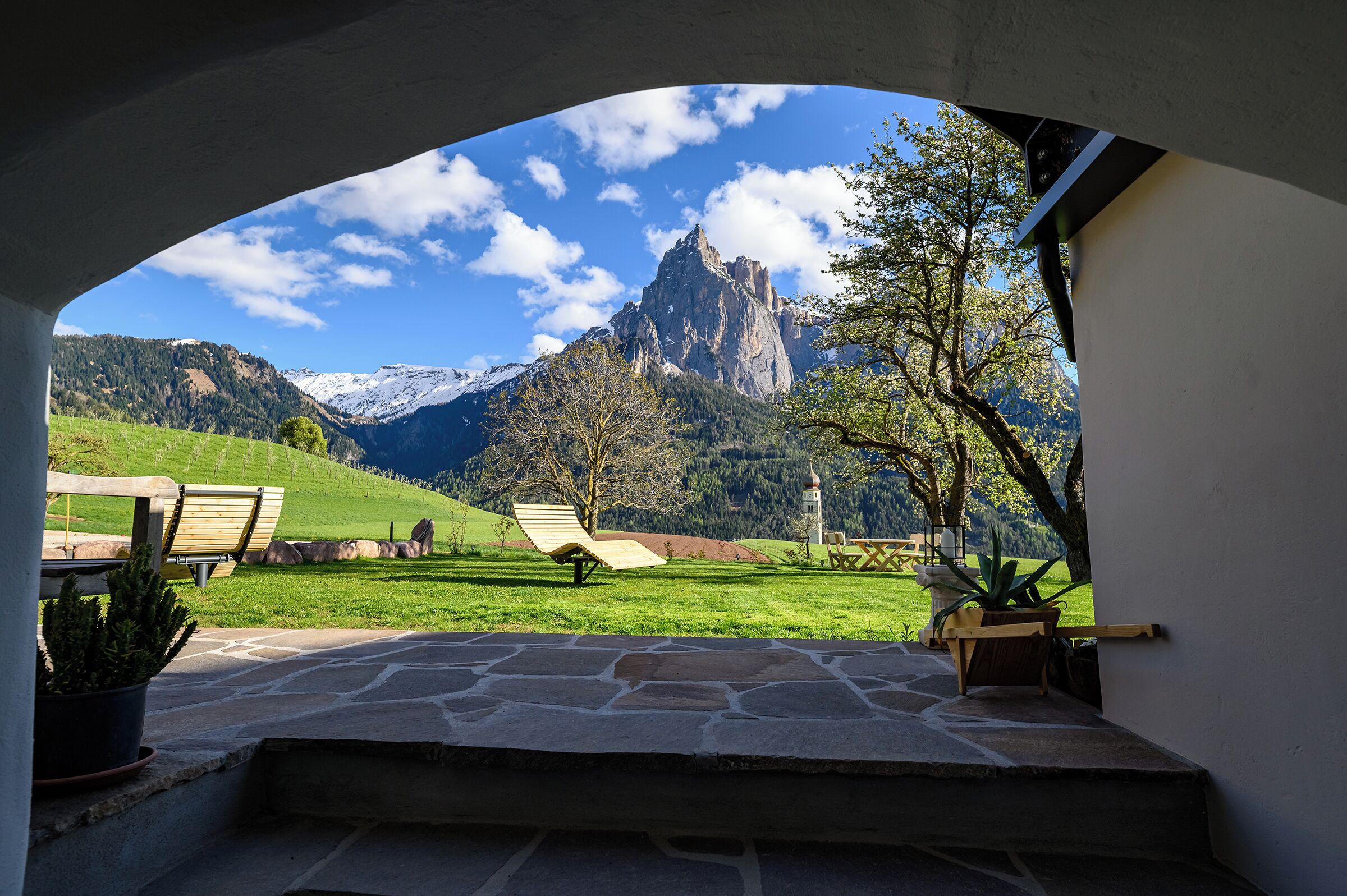 テラス / パティオ